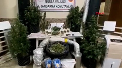 Bursa'da jandarmanın narkotik operasyonlarında 19 şüpheli tutuklandı