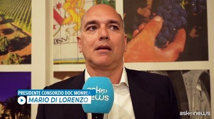 A Vinitaly 100 Cantine siciliane e Consorzi dall'Etna a Monreale