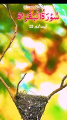 surahbaqara beautiful voice beautiful video 💕💕💕💕💕