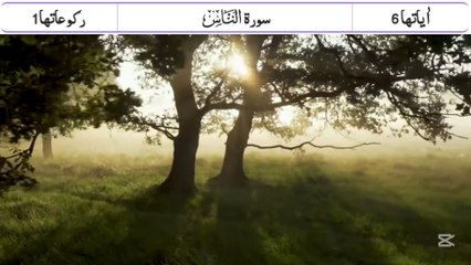 Surah (114) An Nas with Punjabi Translation