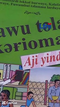 Niger: le haoussa est devenu la langue nationale et le français une simple langue de travail