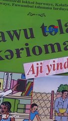 Niger: le haoussa est devenu la langue nationale et le français une simple langue de travail