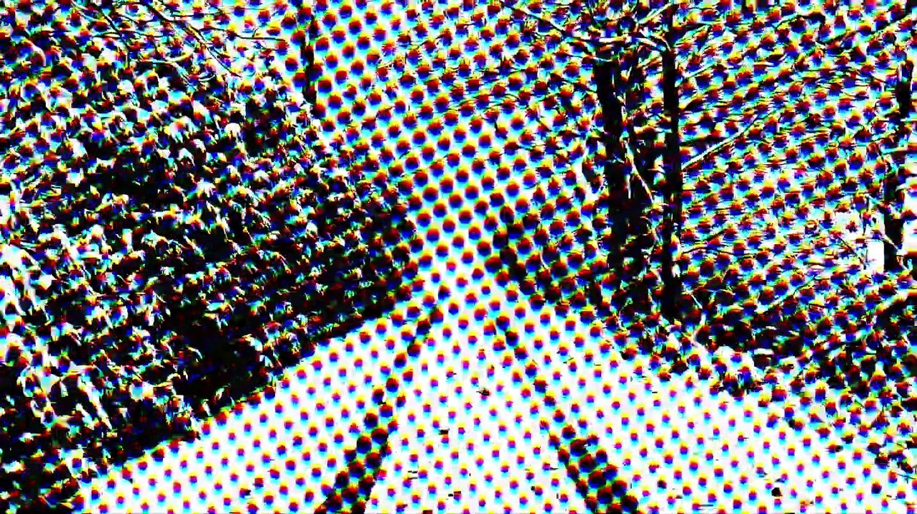 2025 Norwegian wood - The Beatles