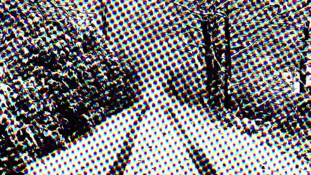 2025 Norwegian wood - The Beatles