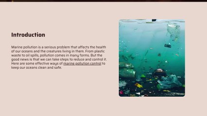 Marine Pollution Control Effective Strategies to Protect Our Oceans