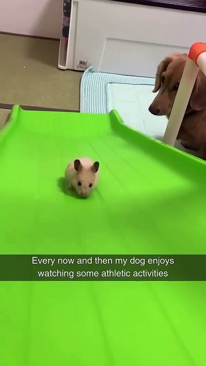 Not exactly Olympic material