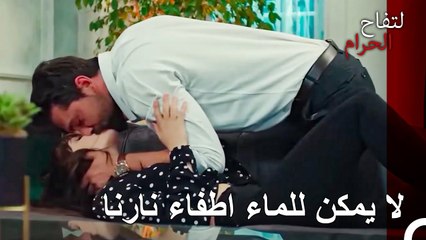 نحن جاهزون لأي شجار اذا كانت النهاية هكذا - التفاح الحرام