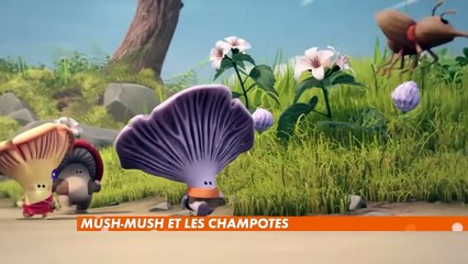Mush-Mush & les Champotes