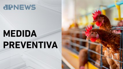 Emergência para gripe aviária é prorrogada pelo governo