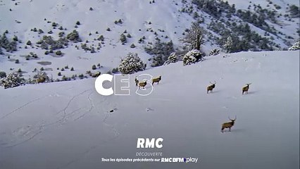 Seuls face à l'Alaska