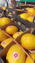 إنزال كبير للبطيخ الأصفر بسوق الجملة في بسكرة.