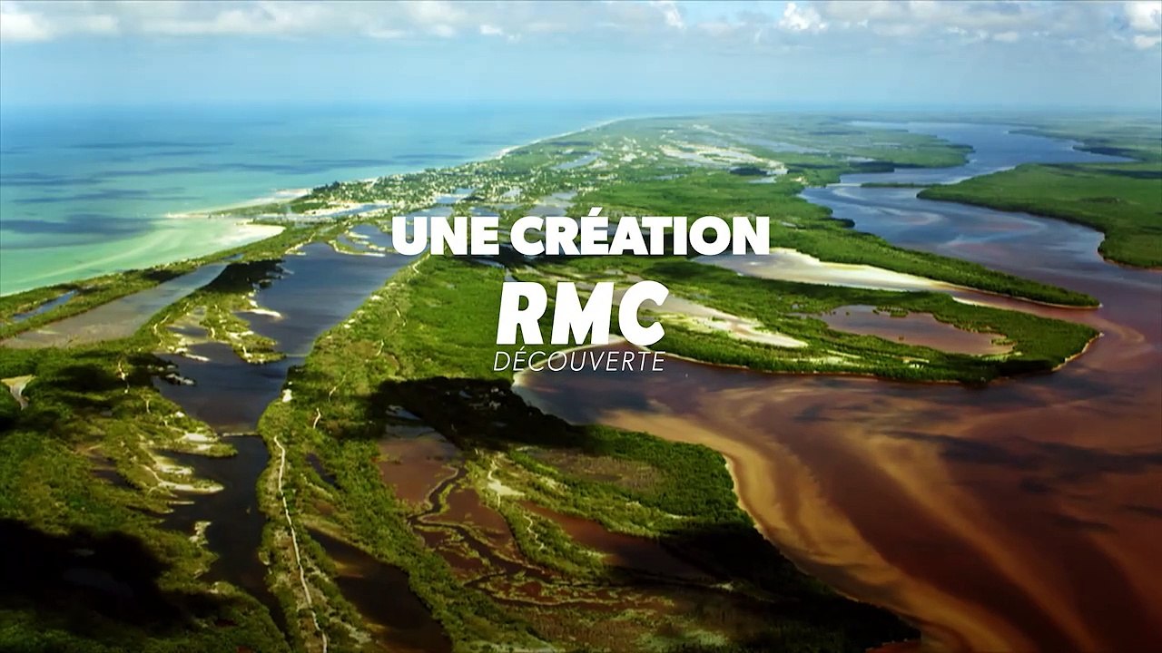Avant Jurassic Park : l'apocalypse des dinosaures