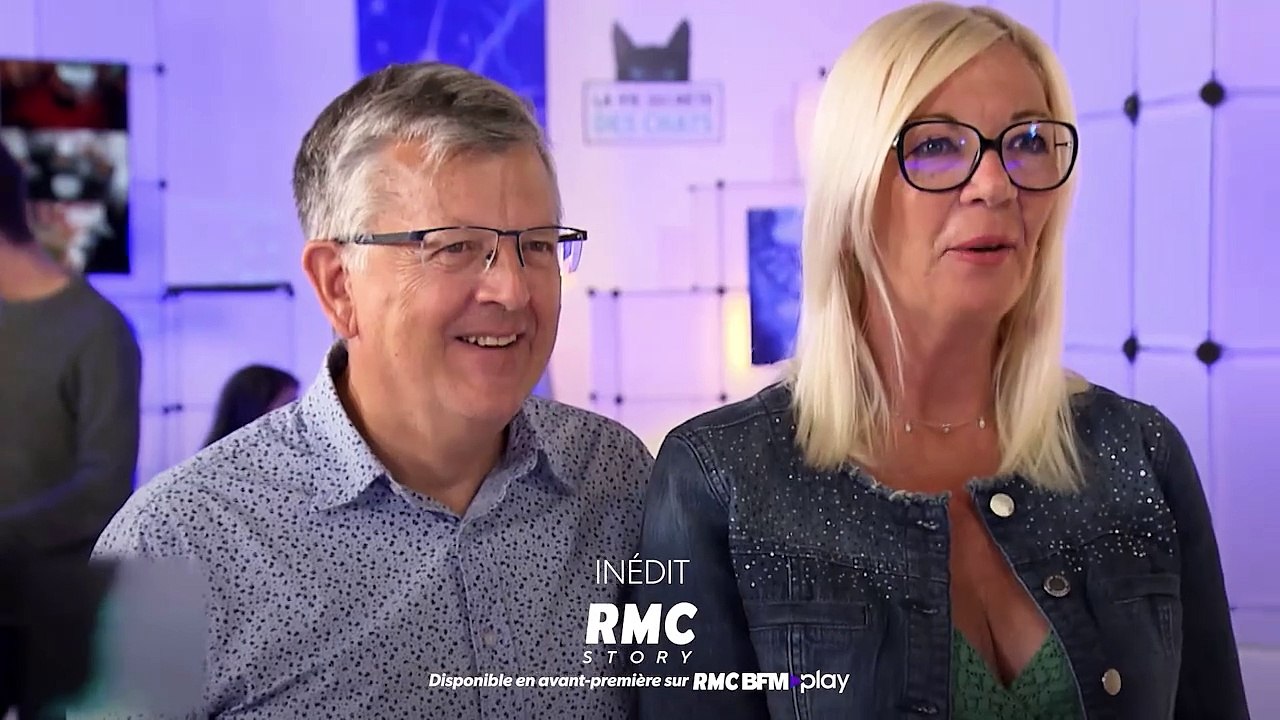 La vie secrète des chats
