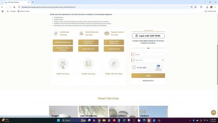 How to check Dubai or Uae visa validity