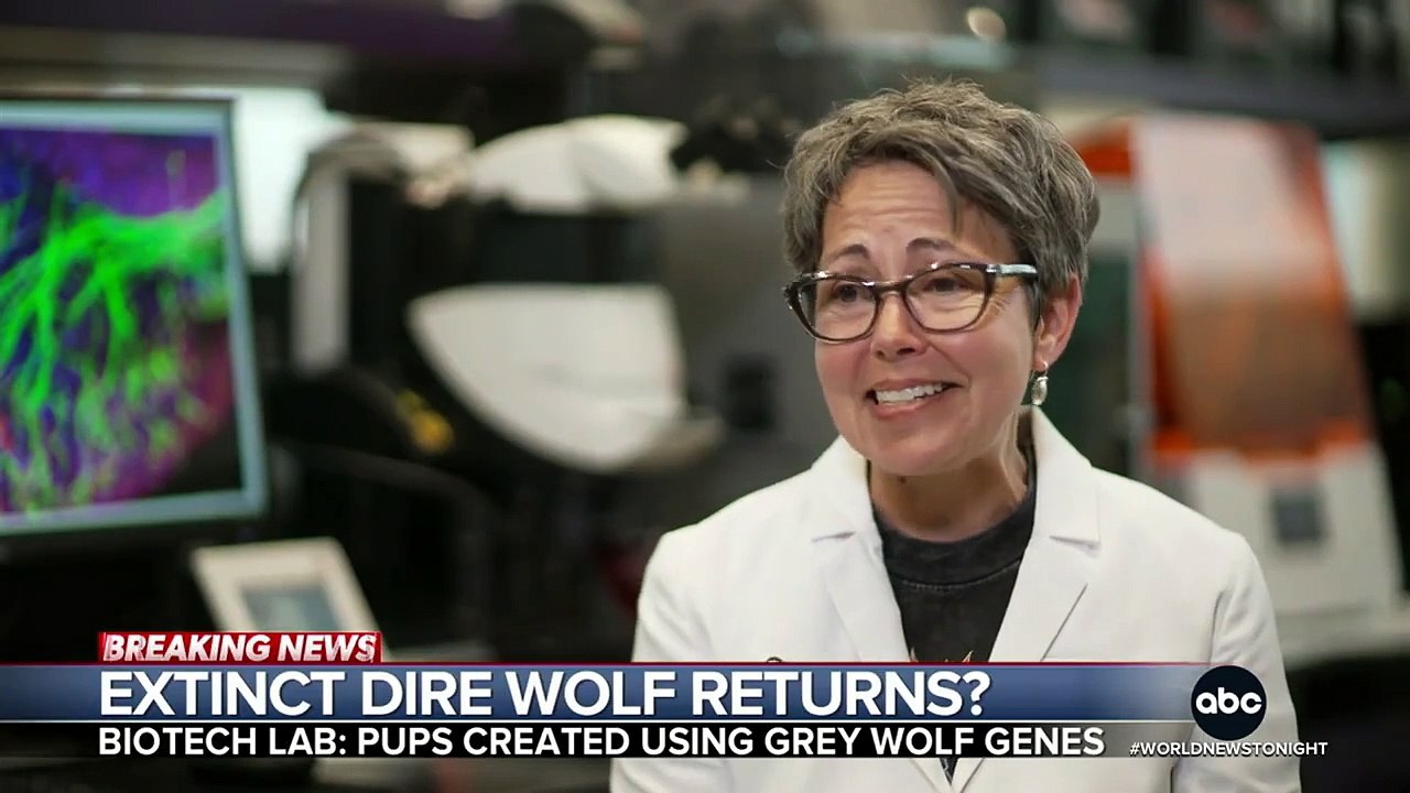 Scientists- Dire wolf brought back from extinction after 13,000 years_2