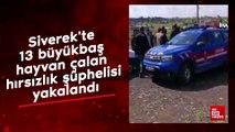 Siverek'te 13 büyükbaş hayvan çalan hırsızlık şüphelisi yakalandı