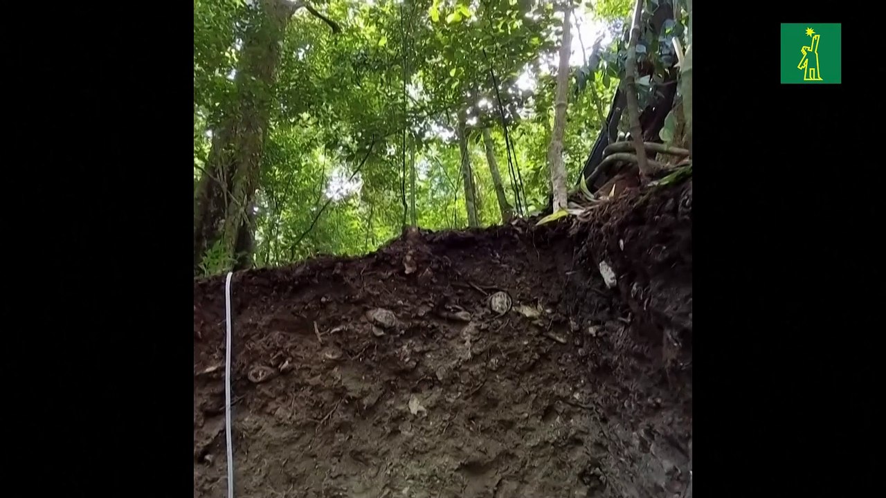 Hallan altar teotihuacano en sitio arqueológico maya Tikal en Guatemala