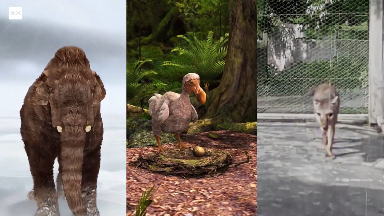 Border - Promo - Colossal Biosciences