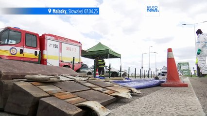 Slowakei: 12 Kilometer Stau wegen Maul- und Klauenseuche