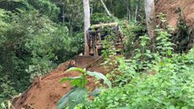 How to Quickly Form a D6R XL Bulldozer in Oil Palm Plantations