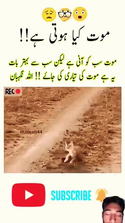 All sa dar video