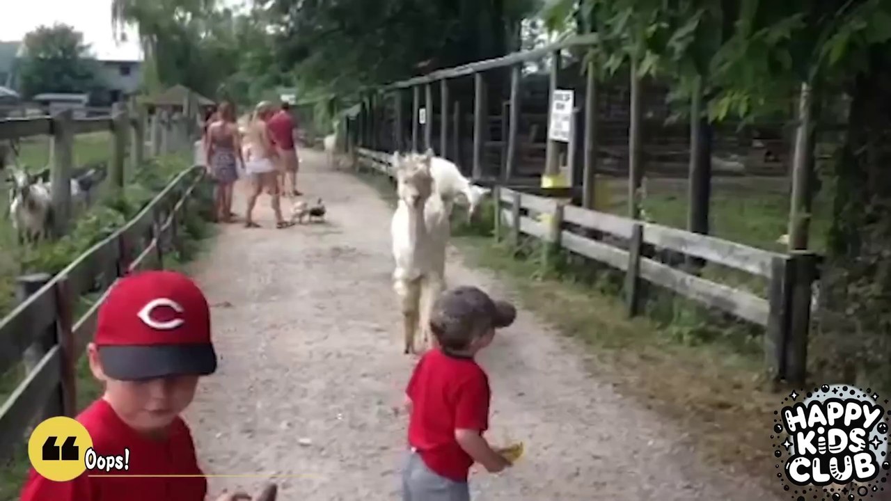 BABY AND ANIMAL - Crying Babies With Animals Moments | Funny Baby Videos | Just Funniest