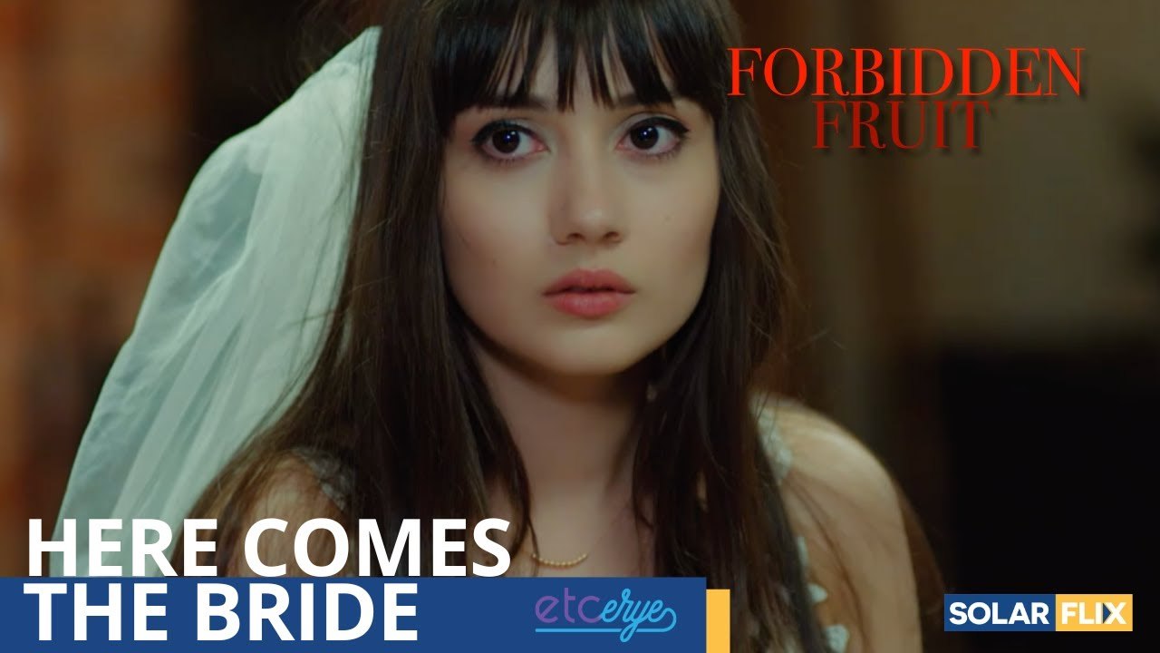 Hindi na makakatakas si Zeynep ¦ Recap Ep 115 ¦ Forbidden Fruit Pinoy