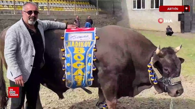 Artvinli Fenerbahçe taraftarından Ali Koç'a boğalı destek