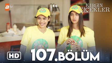 Kırgın Çiçekler 107. Bölüm | HD