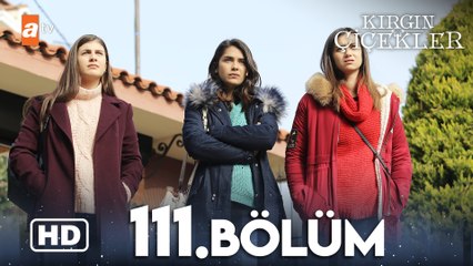 Kırgın Çiçekler 111. Bölüm | HD