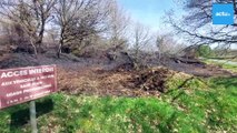 Trois jours après l'incendie, les landes de Locarn (22 - Côtes-d'Armor) toujours sous surveillance