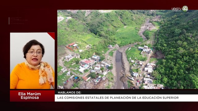 Las comisiones estatales de planeación de la Educación Superior | Elia Marúm Espinosa