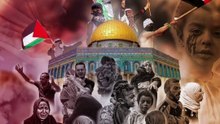 FREE FALASTEEN