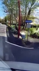 Cesa (CE) - Guida: Vita da #Sindaco (08.04.25 )