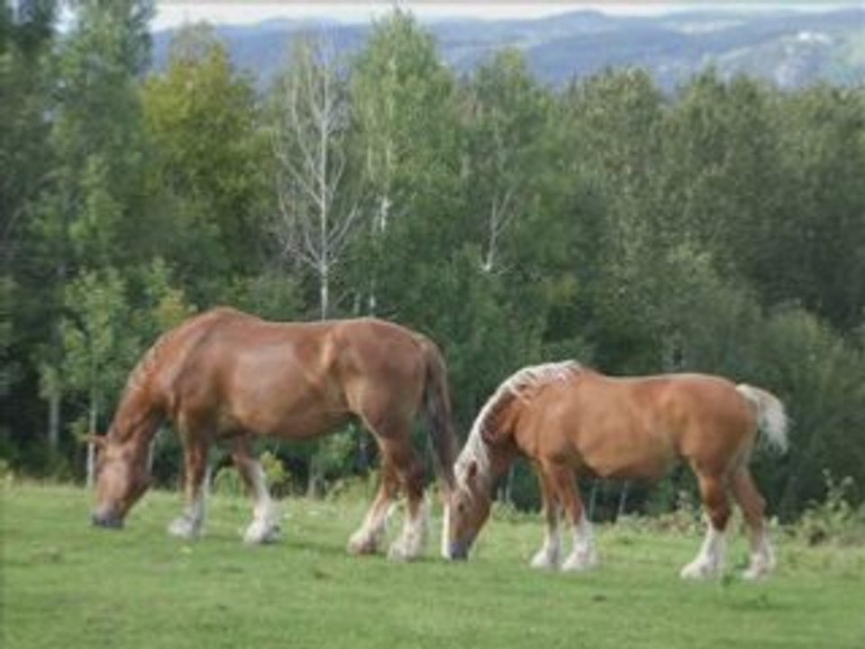 Juste pour la Plaisir !