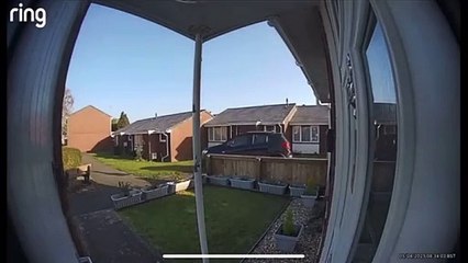 Doorbell footage of one of the cars driving over a path and gardens between George Street and Bovet Street, Wellington.