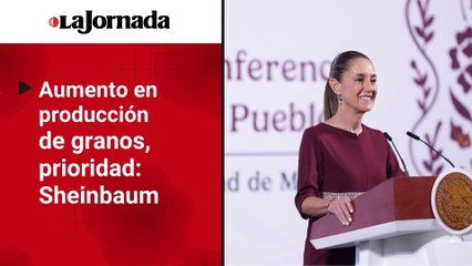 Aumento en producción de granos, objetivo prioritario: Sheinbaum