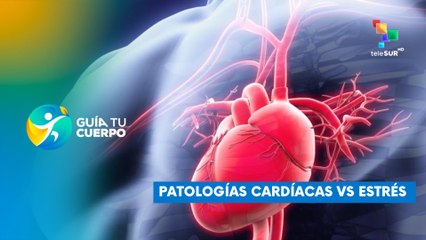 Patologías cardiacas vs estrés
