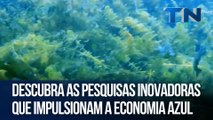 Descubra as pesquisas inovadoras que impulsionam a economia azul