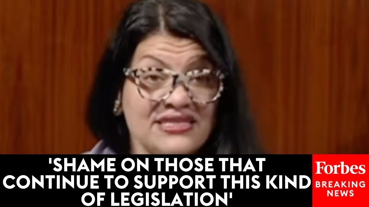 'It's Voter Suppression': Rashida Tlaib Goes Off On The SAVE Act