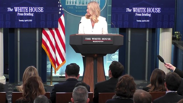 Karoline Leavitt weighs in on explosive feud between Elon Musk and Peter Navarro