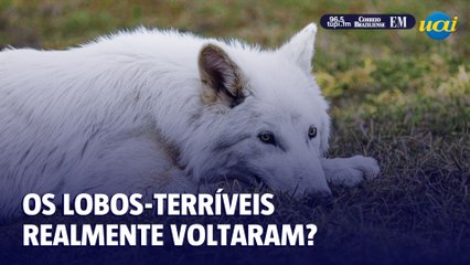 Será que os lobos-terríveis realmente voltaram?