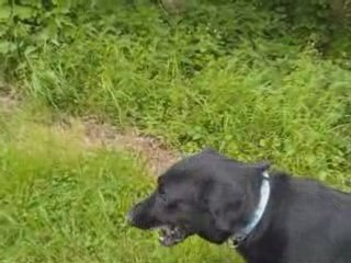 Porto Port aux Cerises