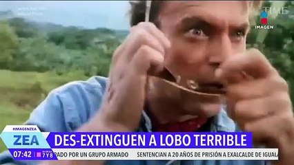 La ciencia revive al lobo terrible que se extinguió hace más de 10 mil años