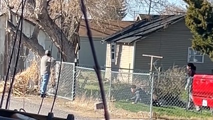 Tiroteo de policías contra adolescente autista