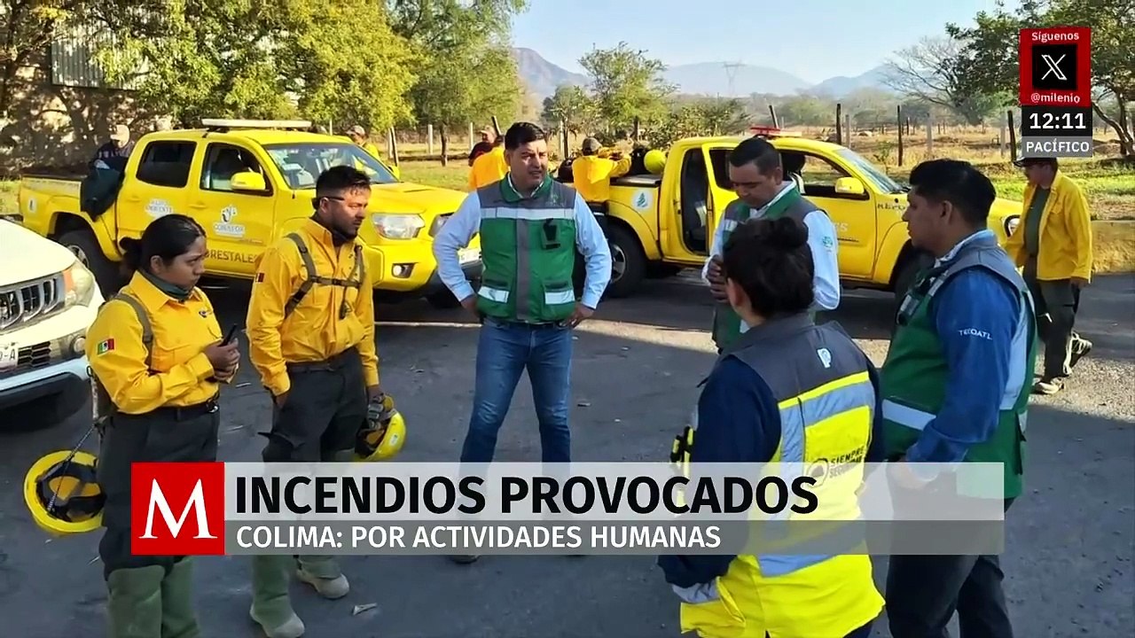En Colima, 9 de cada 10 incendios forestales son provocados por actividades humanas
