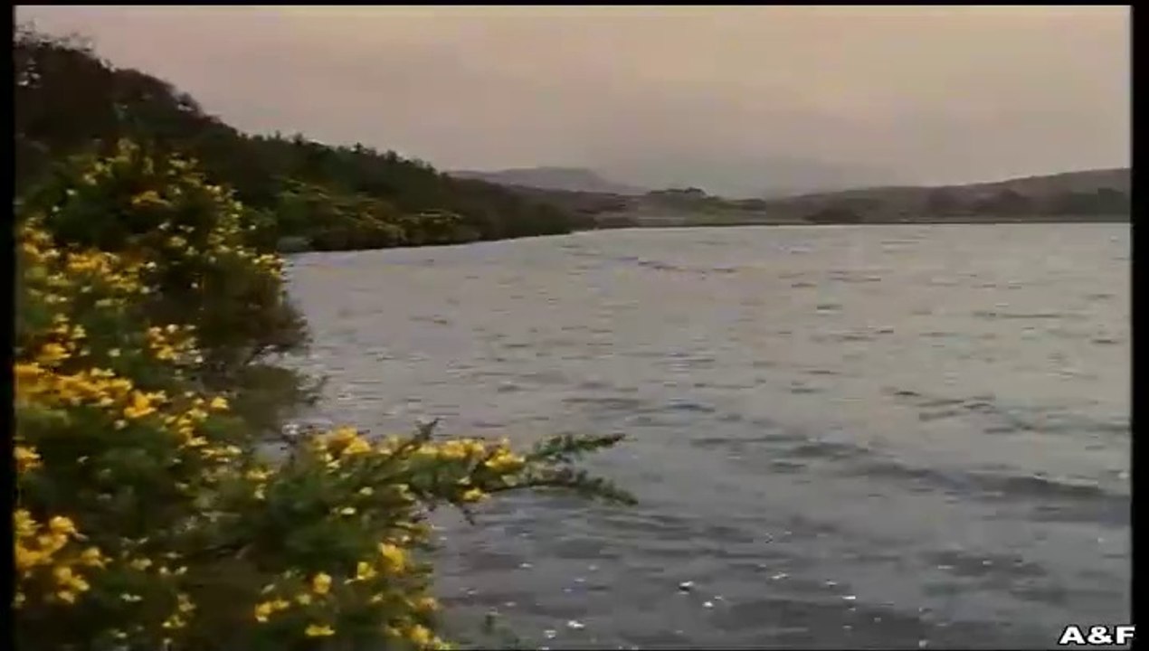 Rosamunde Pilcher -004- Wechselspiel der Liebe