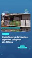 Importadores de insumos agrícolas colapsan sin dólares