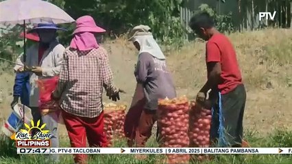 P5-M pondo para makatulong sa onion farmers sa Bongabon, Nueva Ecija dahil sa pamemeste...