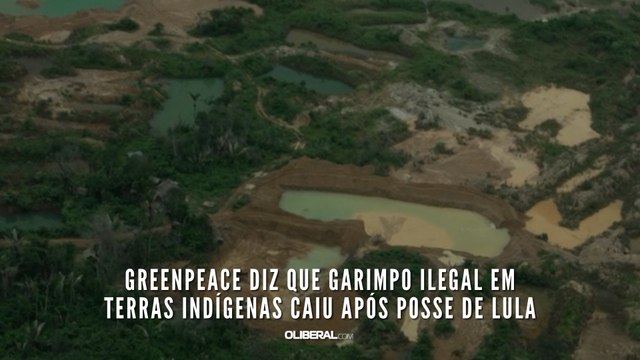 Greenpeace diz que garimpo ilegal em terras indígenas caiu após posse de Lula